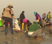 '신비의 바닷길' 축제, 진도서 다음 달 개최