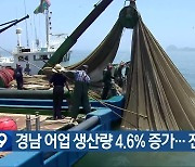 경남 어업 생산량 4.6% 증가…전국 두 번째