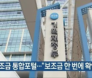 보조금 통합포털…“보조금 한 번에 확인”