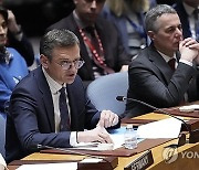 UN Security Council Ukraine