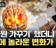 [자막뉴스] 즐거워서 했던 '정원 가꾸기'...뇌에 엄청난 효과가