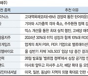 한국금융지주, 연 30%대 이익성장 전망[株슐랭가이드]