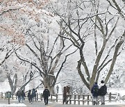 우중충한 눈비 그치고... 월요일 출근길 영하권 쌀쌀