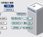 효성 '형제의 난'은 없다…'수소'는 조현준, '탄소섬유'는 조현상