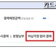 리볼빙 광고시 '최소결제·일부결제' 못쓴다…평균 이자율도 고시해야