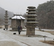 토끼 잡으러 온 거북이, 여기에 있소이다