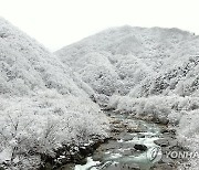 거창 월성계곡 새하얀 눈꽃 풍경