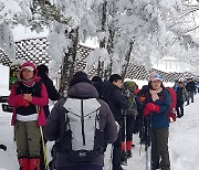 등산로도 오늘은 체증…눈 쌓인 대관령