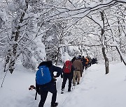 등산로도 오늘은 체증…눈 쌓인 대관령