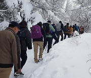 등산로도 오늘은 체증…눈 쌓인 대관령