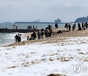 눈 쌓인 겨울 바다