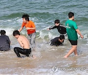 겨울 바다에 뛰어들기 좋은 날