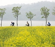 자전거 5년 타면 사망률 35% ‘뚝’…제대로 효과 보려면?