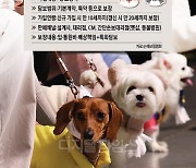 블루오션이라는데 가입률 1%… 펫보험 비교 `동상이몽`