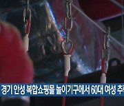 경기 안성 복합쇼핑몰 놀이기구에서 60대 여성 추락사