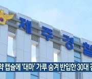 알약 캡슐에 ‘대마’ 가루 숨겨 반입한 30대 검거