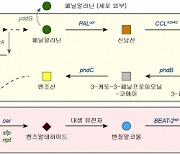 KAIST '친환경 대사공학으로 자스민향 생산' 길 열었다