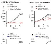 "간암 생존율 높인다" 항암제 내성 극복 방법  세계 최초 발견