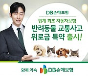 DB손보, 업계 최초 자동차보험 '반려동물 교통사고 위로금 특약' 출시