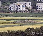 북한, 봄철 밀·보리 파종 시작…"면적 늘리고 지력 높여"