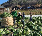 괴산군, 외국인 계절근로자 493명 도입…120여 농가에 배치