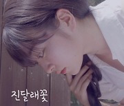 락카펠라 투 로맨스, 컴백 신곡 ‘진달래꽃’ 공개