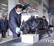 마약 밀수 '대형화'..."국제공조 통해 국경 차단해야"[김동규의 마약 스톱!]