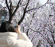 태극기로 물든 효창공원 일대 [서울포토]