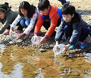 "연어야, 다시 만나자"…양양서 아기연어 보내기 체험축제 개최