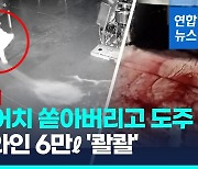 [영상] 스페인 유명 양조장에 괴한 침입…6만리터 쏟아버리고 도주