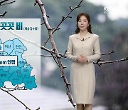 [날씨] 대전·세종·충남 내일 아침~오후 약한 비…이번 주말 꽃샘추위