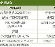 9억 이하 아파트 인기…‘신생아 특례론’ 덕