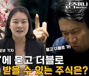 ‘묻고 더블로’…벚꽃 배당에 달달한 ‘더블 배당’ 챙길 수 있는 주식은?[금주머니TV]