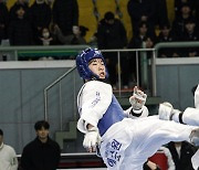 올림픽 티켓 놓친 태권도 박우혁·장준, 국가대표 선발전 우승