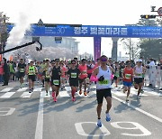 경주벚꽃마라톤 참가 접수 조기 마감…국내외 1만2천명 신청