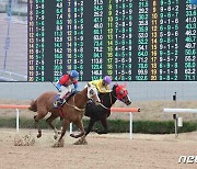 제17회 경남신문배 경마 대상경주, 원더풀리어 우승