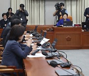 부산 남구갑·을→남구, 북강서갑·을→북구갑·을, 강서구로 분구