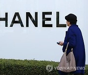 "구찌가 매장 가리잖아"…샤넬이 갤러리아 영업 돌연 중단한 이유