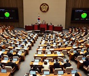 분양가상한제 아파트 실거주 의무 ‘3년 유예’, 국회 통과