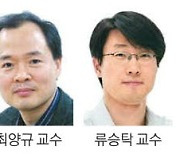 해킹 막는 무적의 '암호 반도체'