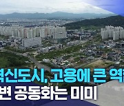 "혁신도시, 고용에 큰 역할".. 주변 공동화는 미미