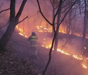 [영상] 인천 왕길동 야산서 불…"1600㎡ 소실·인명피해 없어"