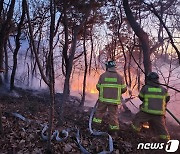 인천 서구 야산 화재 29분 만에 완진…1652㎡ 소실