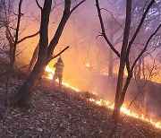 인천 서구 왕길동 야산 화재‥30분 만에 진압