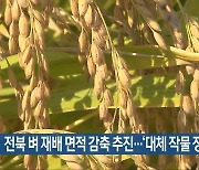 전북 벼 재배 면적 감축 추진…‘대체 작물 장려’