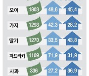 건강 열풍에 신선과채 인기 오이·딸기 농가 소득 '껑충'