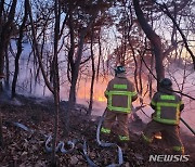 인천 왕길배수지공원 야산서 불, 30분만에 완진…"화인 조사 중"