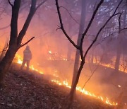 인천 왕길동 야산 화재 29분 만에 진화…약 1천600㎡ 소실