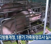 충청지방통계청, 1분기 가축동향조사 실시