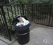 NYC Trash Bins